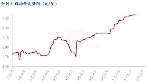 白鸡均价4.62元/斤,环比下跌0.65%!肉禽价格虽处高位,但已失去上涨动力?